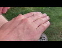 Small spider jumps from filmers arm and hand