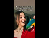 Collab BS Media - Girl with Red Sweater with Parrot on her Shoulder 