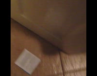 Black dog sitting in restroom with trail of destruction trash