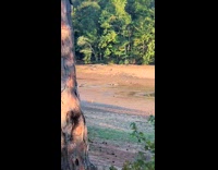 Collab Clips MPUGC2 - Woman sees man scooting on mud