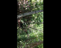 Collab BitchIG2 - Woman films river spider on web nearby