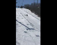 Two Kids Ride Shopping Cart Down Snow Hill And Wipeout