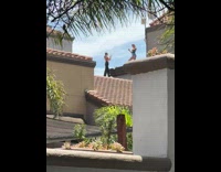 Woman in green top poses on the rooftop