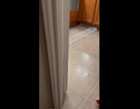 Cat inserts arm inside restroom door crack