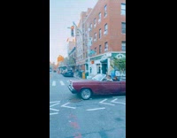 Two plants stick out red convertible car 
