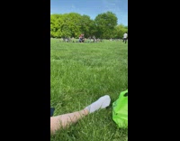 Group people human pyramid park grass bike