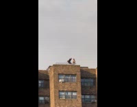 Collab winy - Guy does parkour on top of building