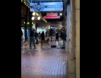 Husky howls to saxophone 