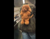 Man on escalator wear brown dog backpack