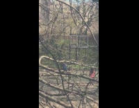 Guy plays basketball with no hoop 