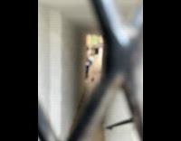 Groundhog runs towards beware of dog sign