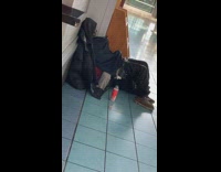 Homeless man sunglasses blue blanket masturbate