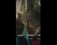 Collab BitchIG2 - People on rollercoaster with mask on