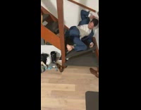 Guy misses steps and falls down stairs