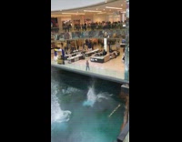 two guys jump from second floor to pool