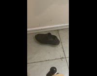 floating black shoe in apartment flood