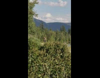 Girl tiktok dances alone mountains river water 