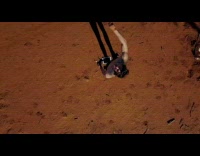 Shirtless man promotes his game channel on the farm