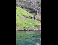 Herd of goats run down cliffside to shore part 2