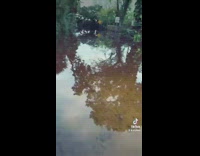 Woman walk through deep flood to her house