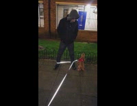 Dog gets leash tangled around guys legs