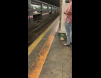 Two baby chicks inside cage subway station