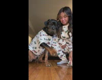 Girl and dog wear matching pajamas and shirt
