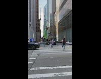 Bunch of bees or wasps found on street pole Part 2 