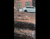 Jeep parked on street covered by bird poop