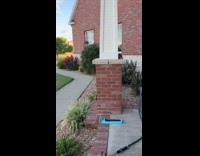 Dog looking for hiding squirrel around pillar 