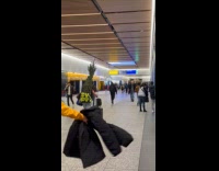 Woman carry christmas tree at airport station