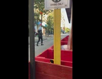 Black jacket girl pigeon mask chases bird 