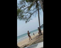 Woman in a bikini leans on the palm tree