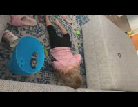 Toddler cries after falling down couch 
