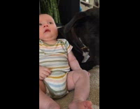 Dog runs off when baby starts pooping