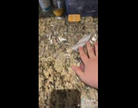 Collab VIBES - Guy makes big capri sun juice ziploc 