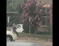 Girl handicap sign pink flowers tree guy