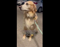 Woman jokes about her doing looking different