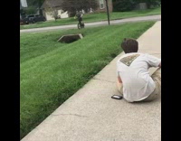 Boy on bike rides and falls over sewer shaft in grass yard