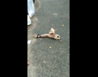 mannequin with missing arms and head on floor