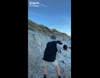 Collab Clips MPUGC2 - Dog jumping to mans arms