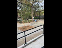 Man near the bike hugs the tree