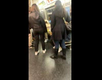 Man has grey goose in a cardboard box