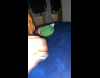 Brown dog tries to take chewing gum