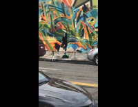 Hula hoop graffiti wall blue hair