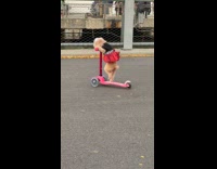 Dog ride scooter stand on one leg