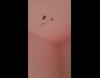 2 House Spiders Trap Fly with Webs 