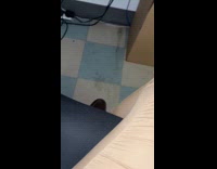 Submitter shows water went inside his office 