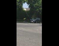 Man green mask yellow shirt holds leash of dog pictorial