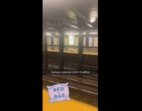 White shirt khaki pants guy sleeps pt. 2 